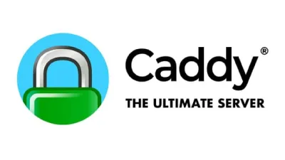 Setting Up Caddy Reverse Proxy with Automatic HTTPS (Docker)
